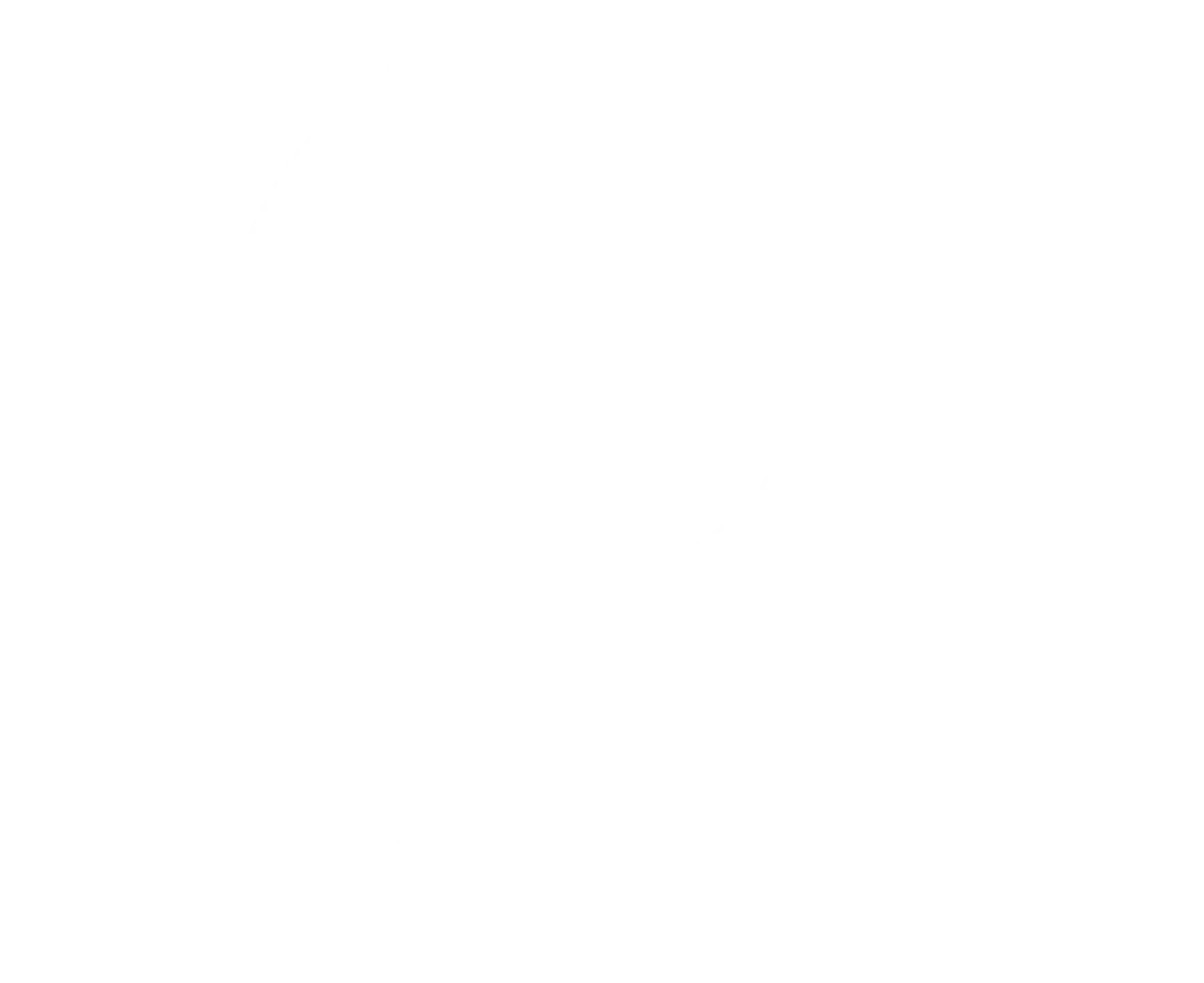 Flashingpix Logó